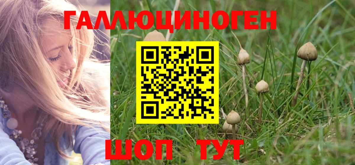 Псилоцибиновые грибы прущие грибы Полысаево
